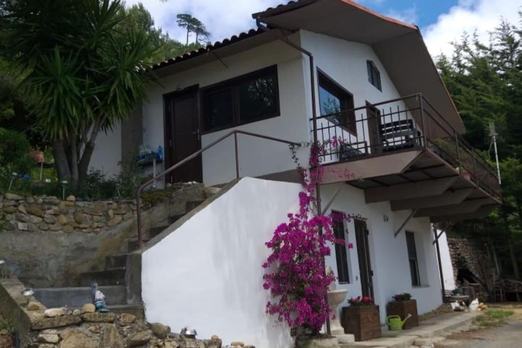 Гостьовий будинок Detached House With Garden And Sea View Санремо Екстер'єр фото
